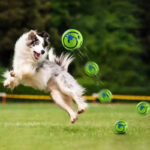 Engages dogs with sounds, rolling, and wobbling movements effortlessly.