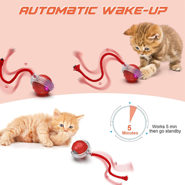 Interactive Automatic Rolling Cat Toy