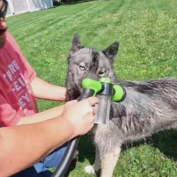 High-Pressure Pet Shower Sprayer